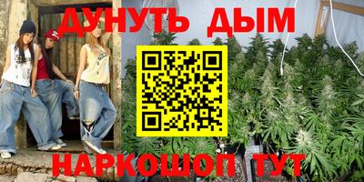 шишки Донской