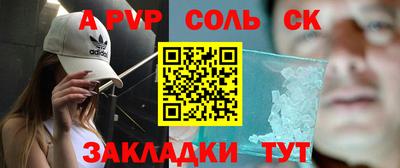 шишки Донской
