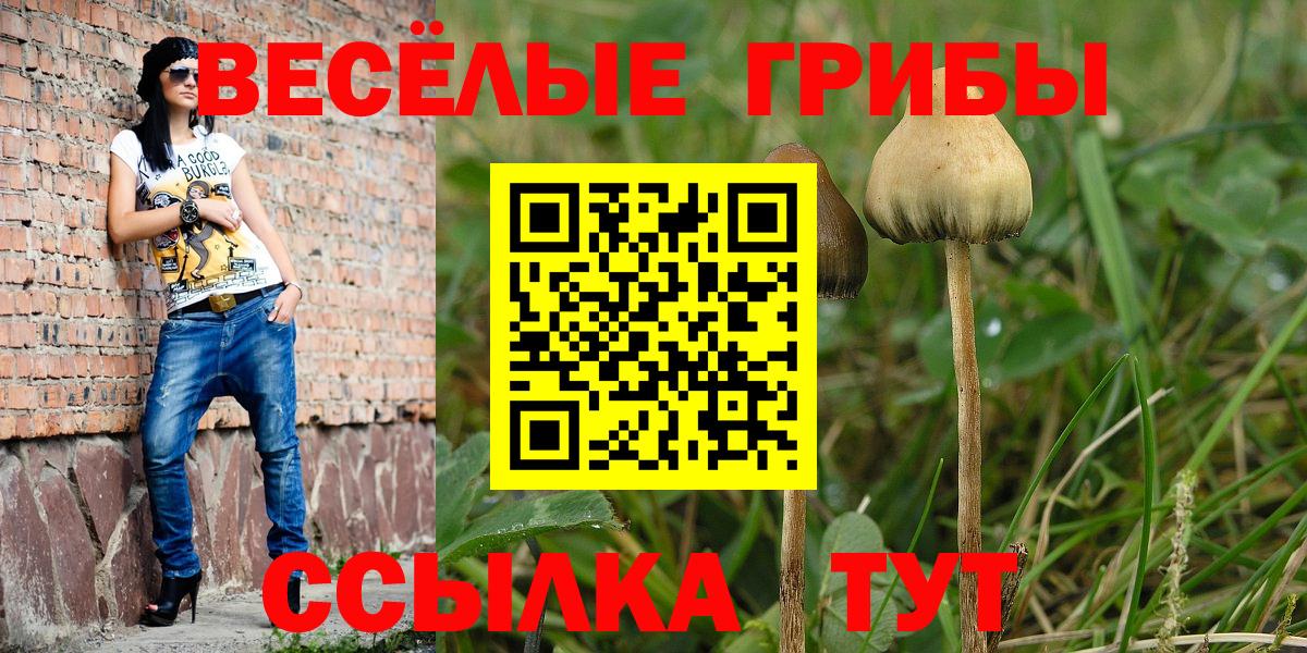 Псилоцибиновые грибы Psilocybine cubensis  Псилоцибиновые грибы GOLDEN TEACHER  Нурлат  Вход с VPN 