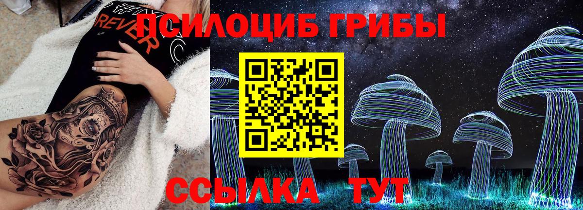 Галлюциногенные грибы Cubensis Нурлат